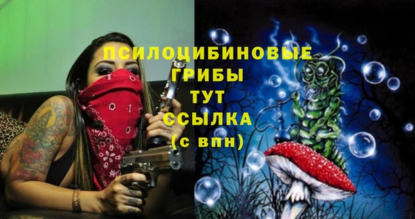 шишки Бронницы